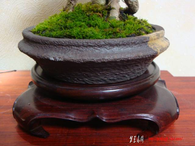 DSC06094.JPG