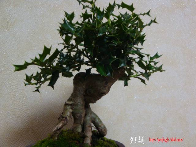 DSC06092.JPG