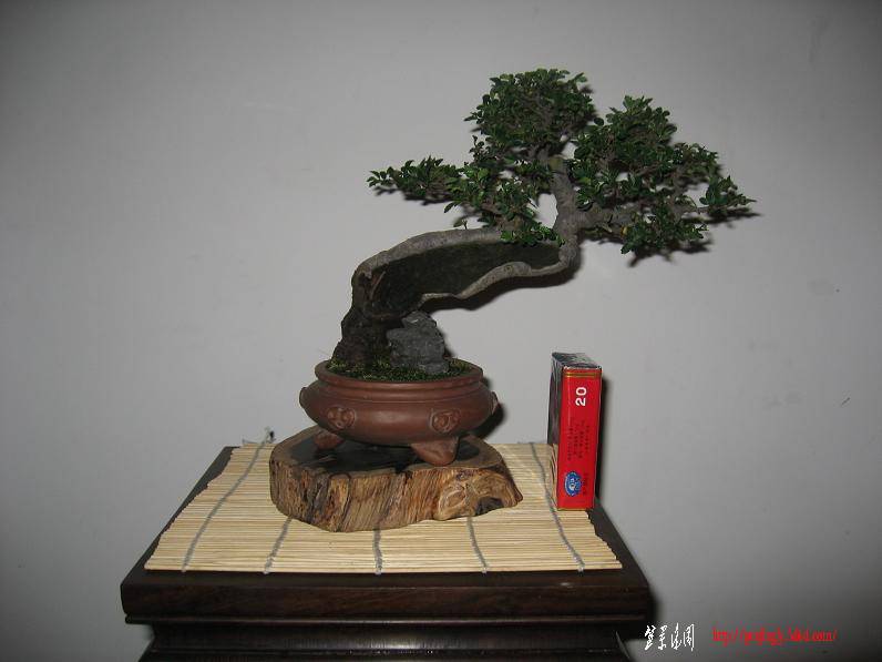 Ƭ0830 018.jpg