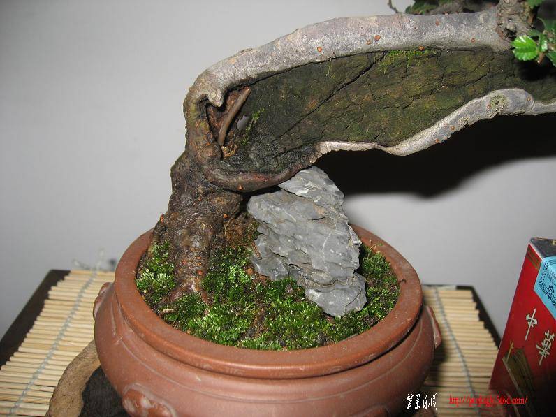 Ƭ0830 019.jpg