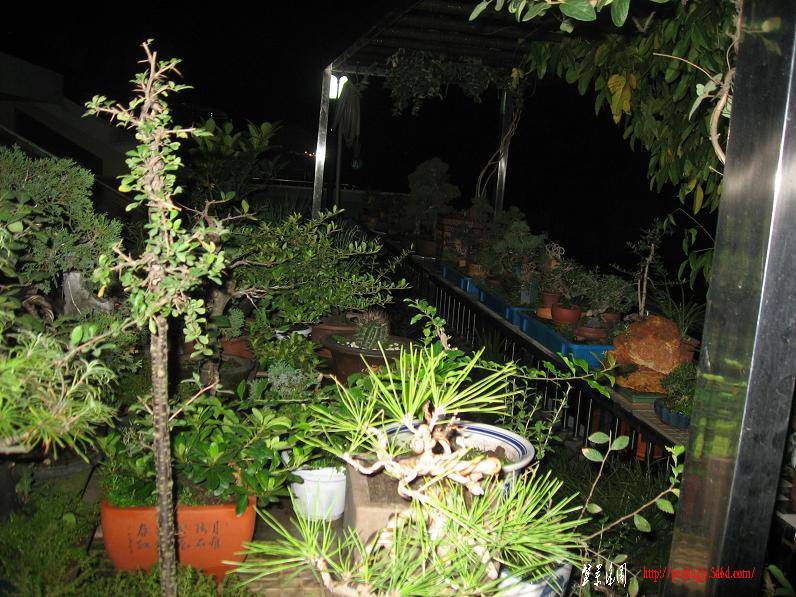 Ƭ0830 025.jpg
