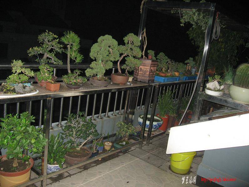 Ƭ0830 027.jpg
