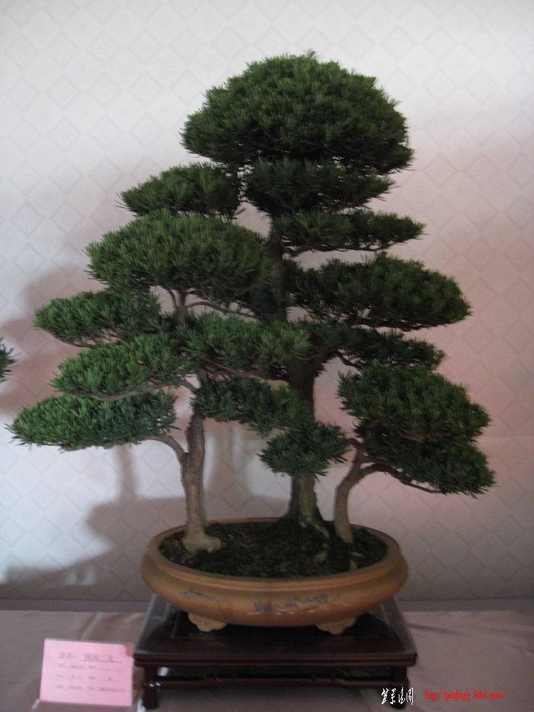 Ƭ 041.jpg
