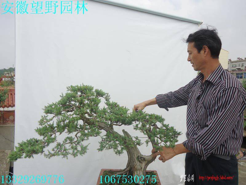 DSC02446.jpg