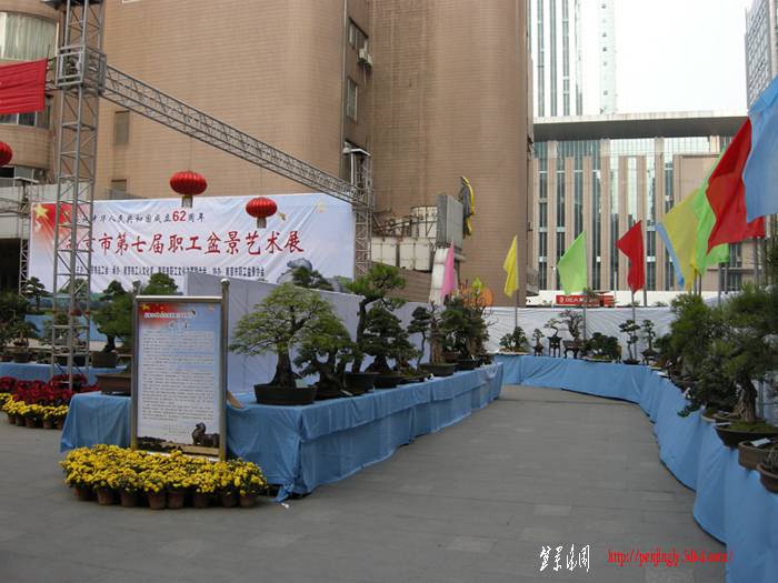 DSCN2479.JPG