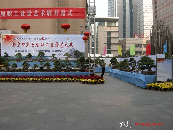 DSCN2482.JPG