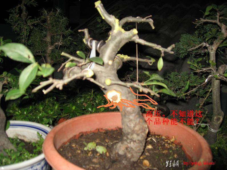 Ƭ0830 028.jpg