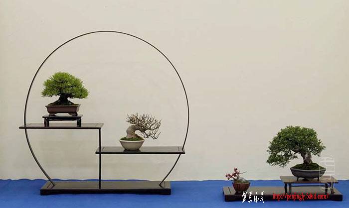 shohin-4.jpg