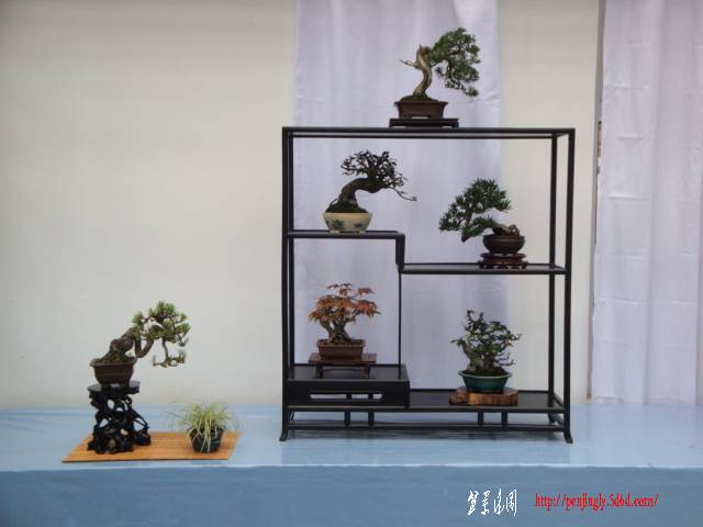 DSC06242.JPG