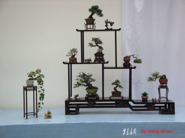 DSC06244.JPG