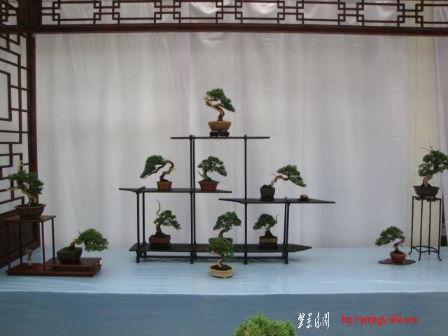 DSC06246.JPG