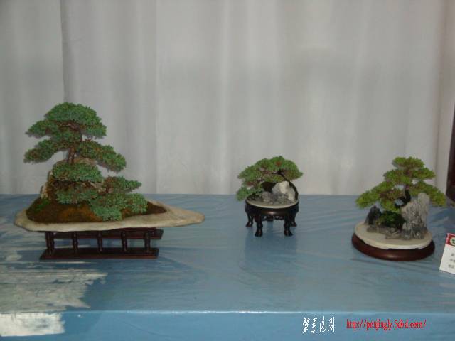 DSC06314.JPG