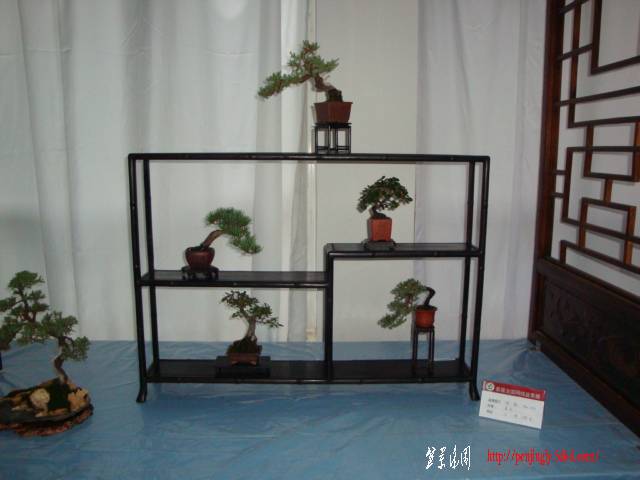 DSC06311.JPG