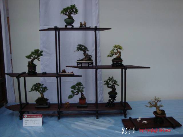 DSC06308.JPG