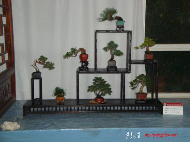 DSC06312.JPG