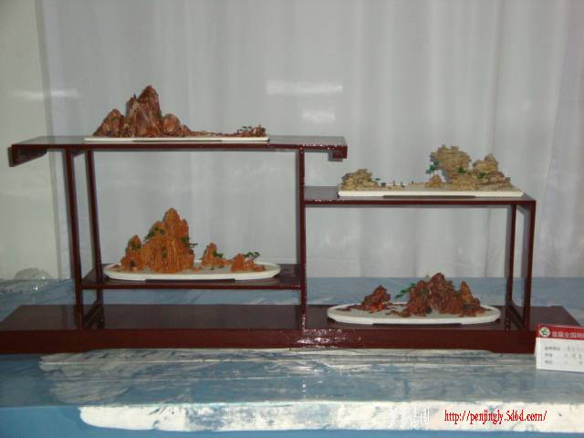 DSC06313.JPG