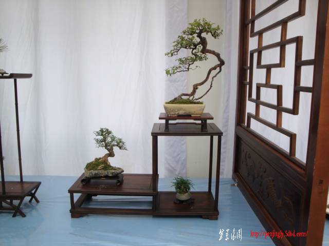 DSC06261.JPG