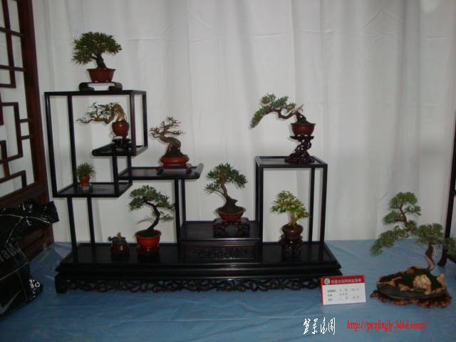 DSC06310.JPG