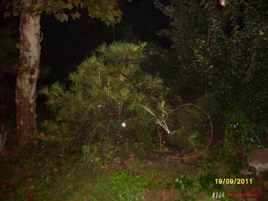 SDC10349.JPG