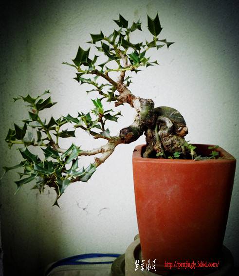 DSCN1660_.jpg