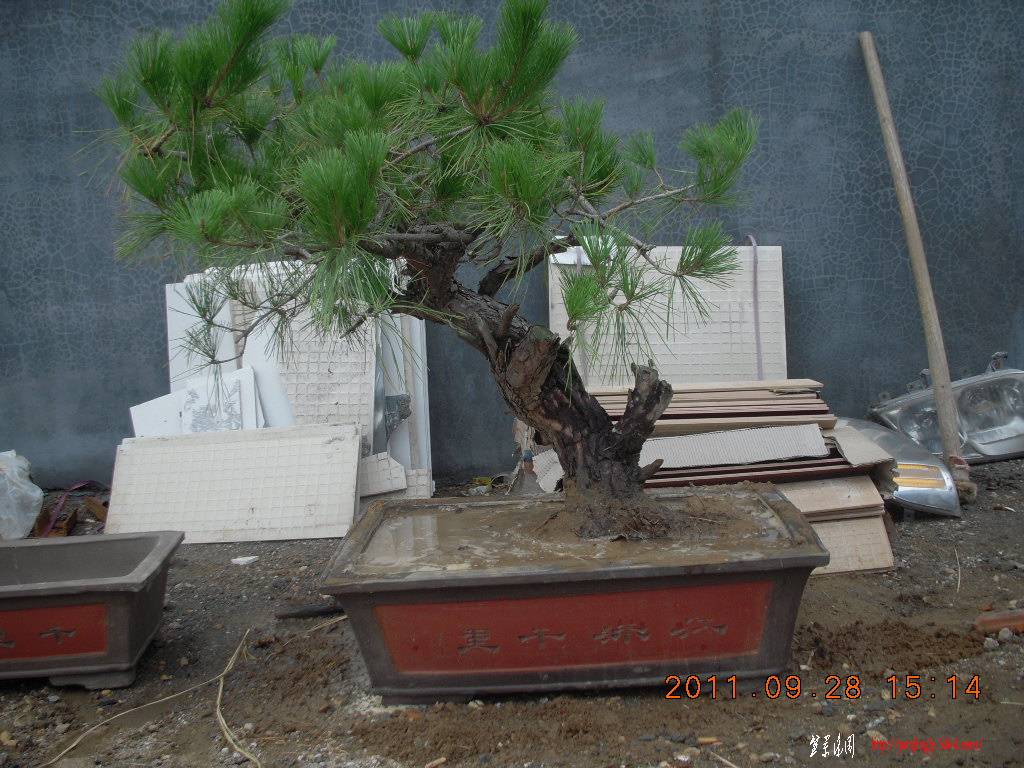 DSCN2094.JPG
