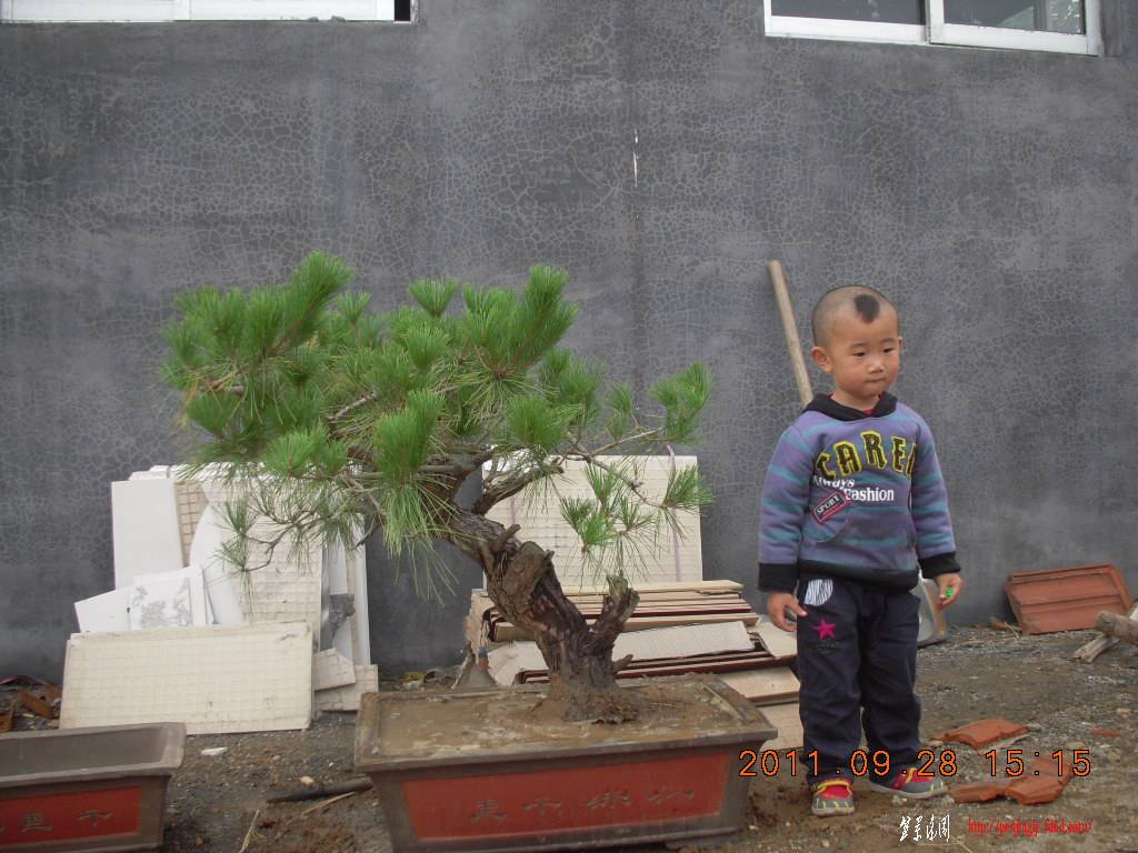 DSCN2100.JPG