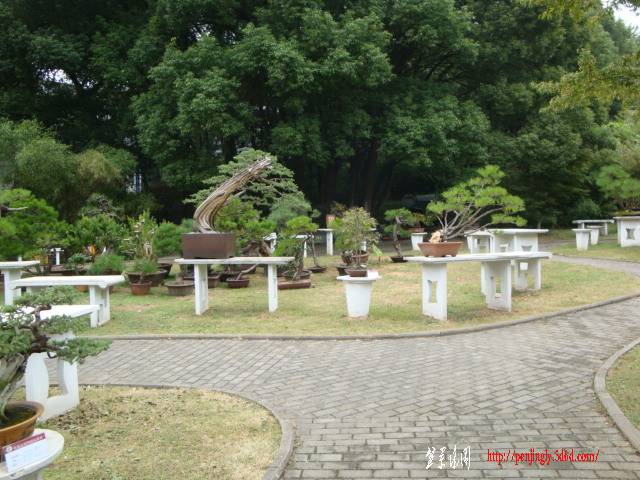 DSC06303.JPG