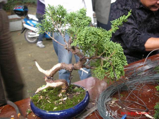 С DSCN4633.jpg