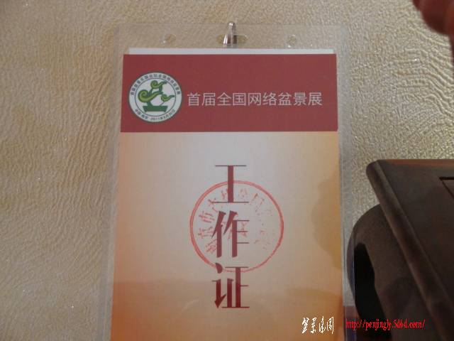 DSC06412.JPG