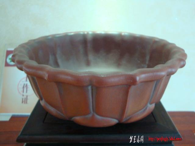 DSC06413.JPG