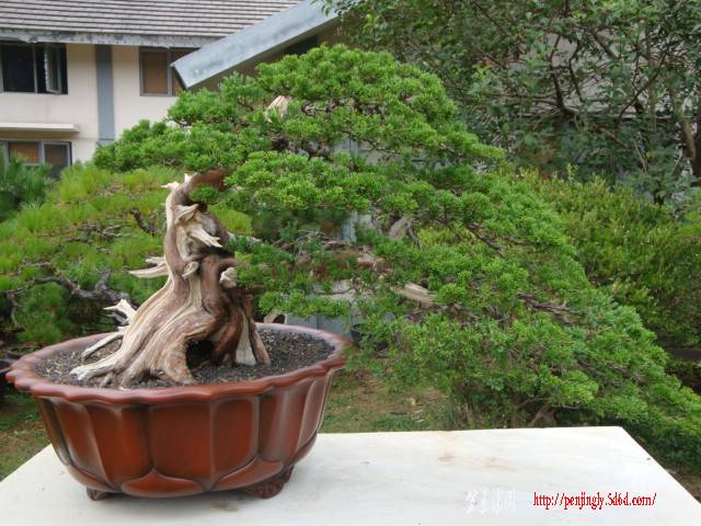 DSC06272.JPG