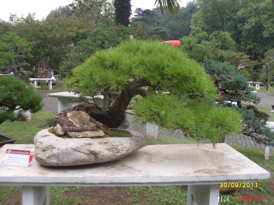SDC10390.JPG