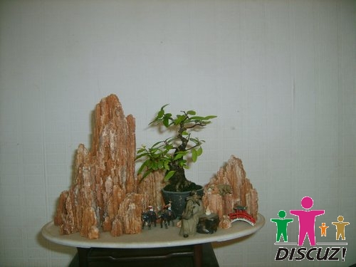 S5003213.JPG