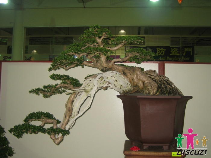 IMG_1659.jpg