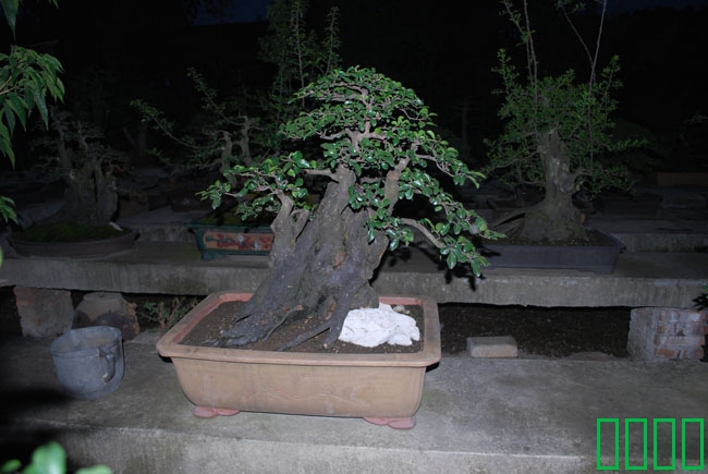 DSC_8586.JPG