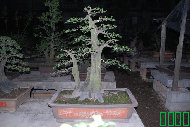 DSC_8601.JPG