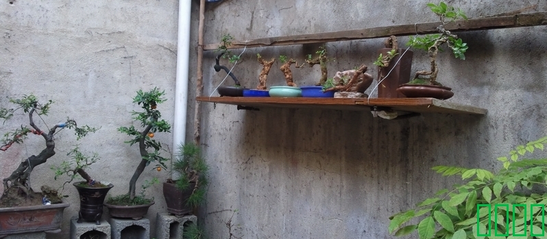 Ƭ0532.jpg