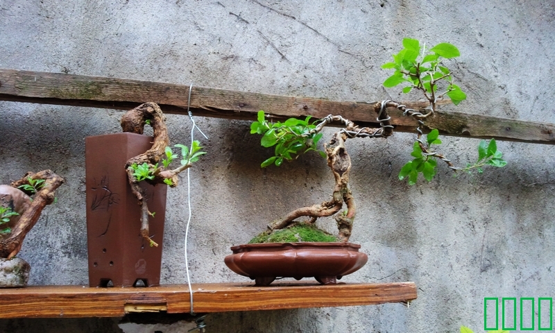 Ƭ0527.jpg