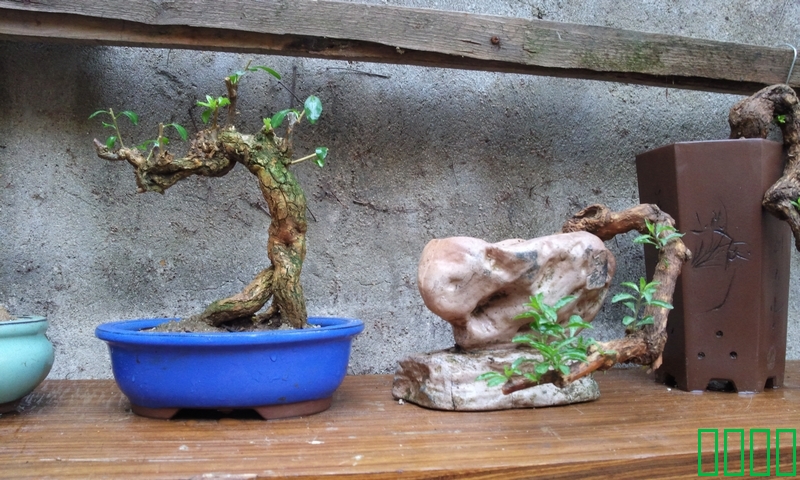 Ƭ0528.jpg