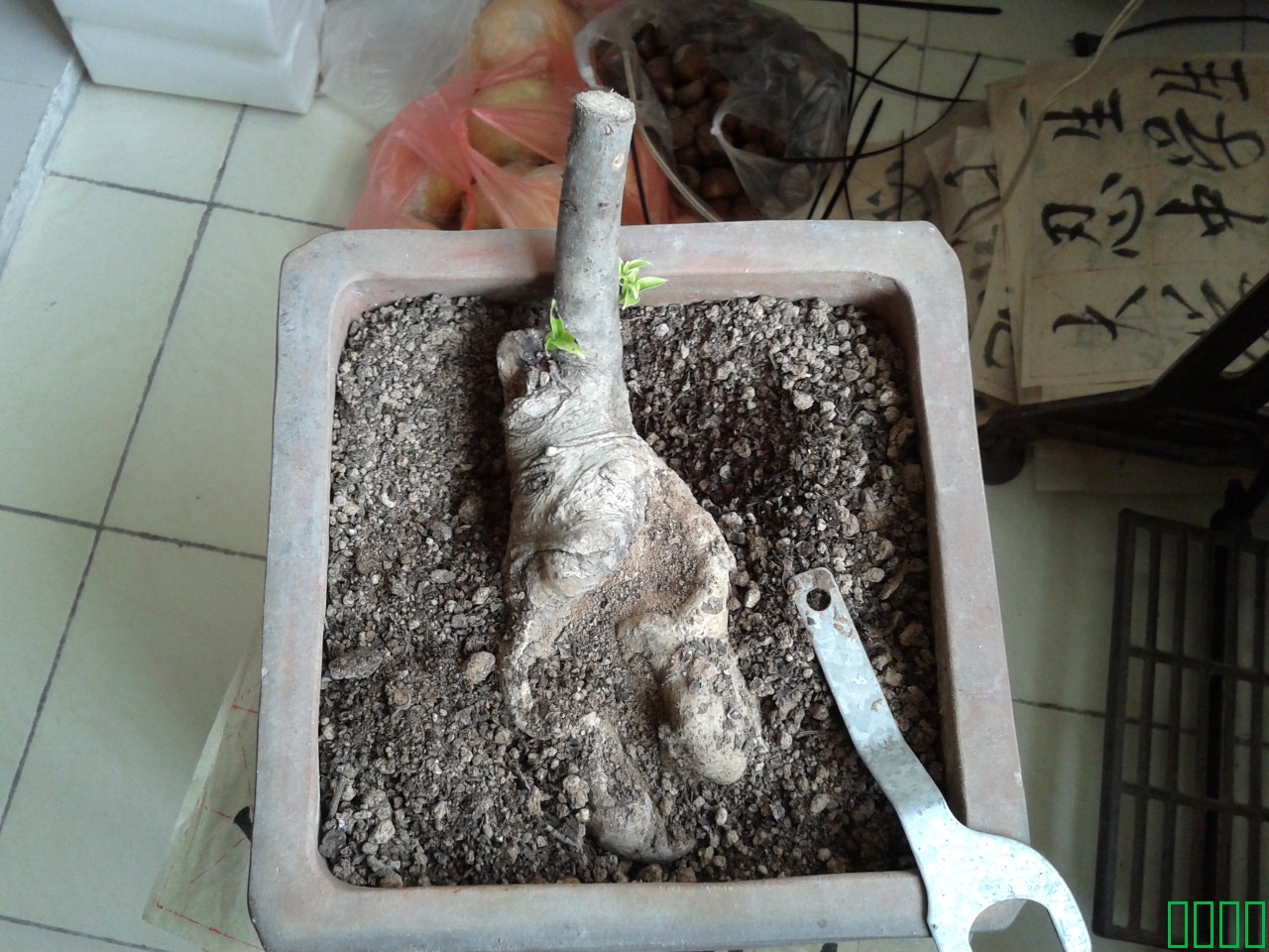 2011-09-30 16.24.22.jpg