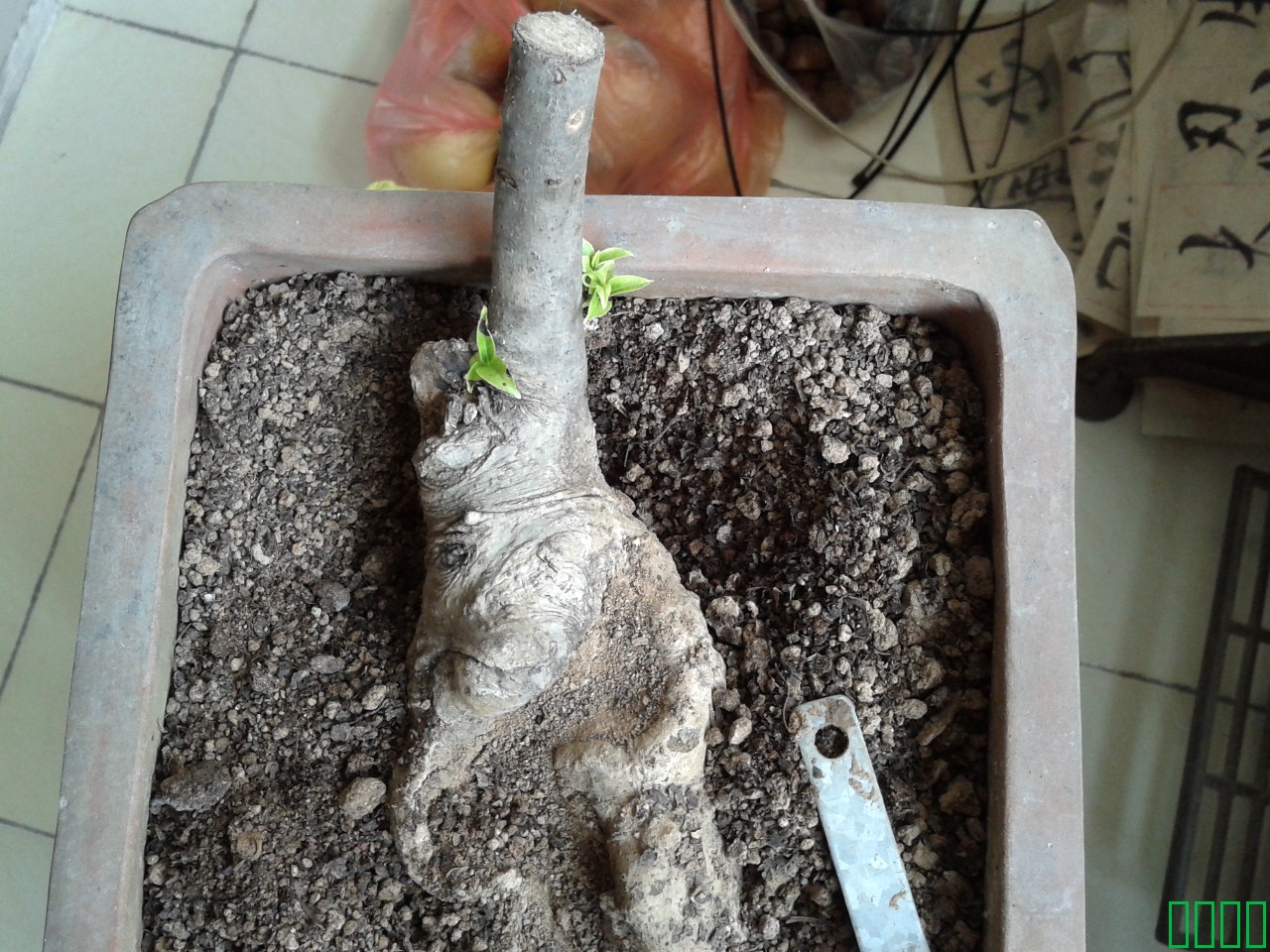 2011-09-30 16.24.37.jpg