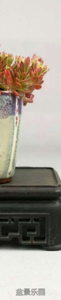 С