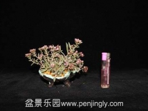 һ軨