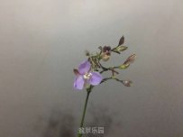 費֪С