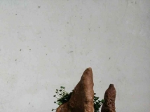 Ҳ