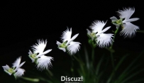 ز  